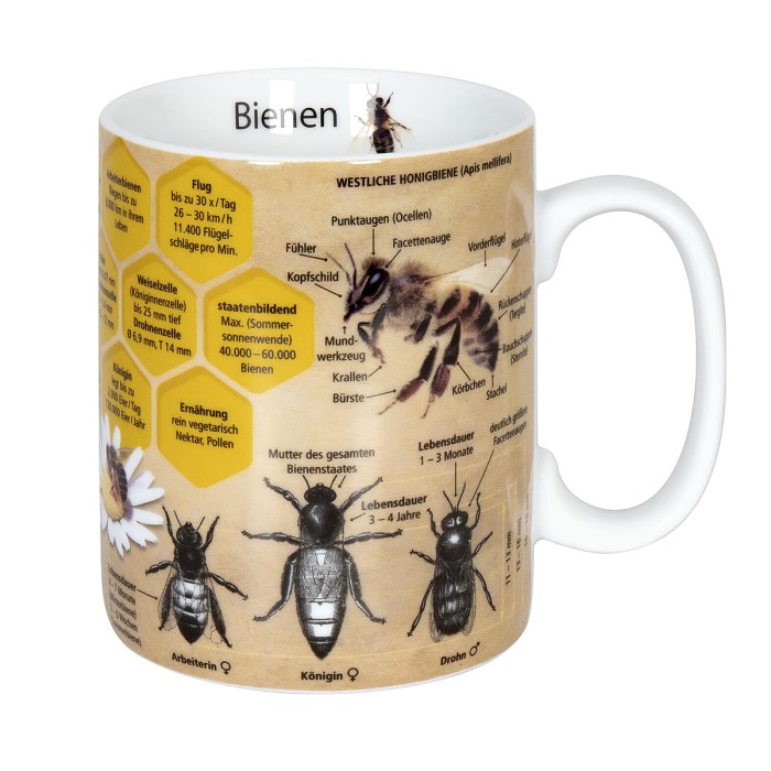 Wissensbecher Biene